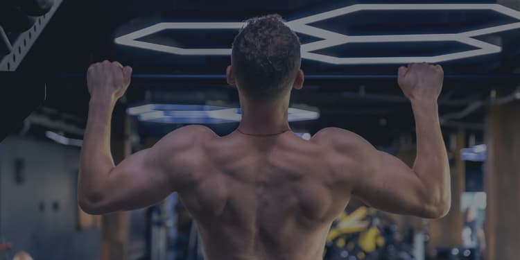 Muscle Up CrossFit